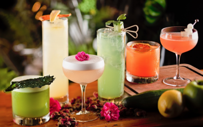 Vegetable Cocktails Prescriptions x Dr. Fern’s